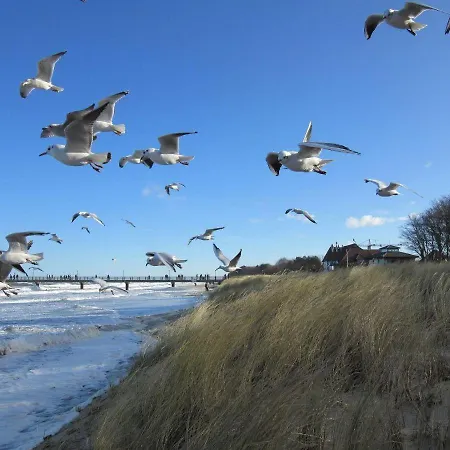 Ostseerauschen-im-ferienhaus-flair-am-meer